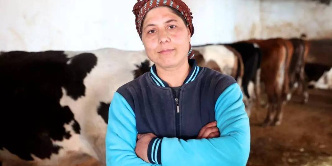 Devlet desteğiyle sürü sahibi oldu! Eşinin köyünden gelen bereket: 35 yaşında hayvan sayısını katladı 5